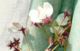 Maxwellfabrics_PureandSimple