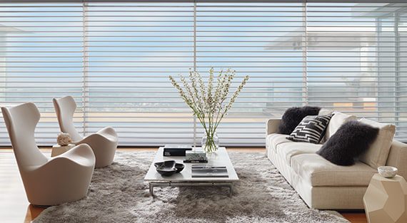 Silhouette Window Shadings