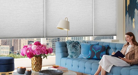 Duette Cellular Honeycomb Shades