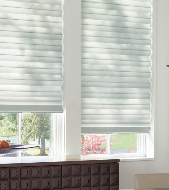 Window Blinds & Shades