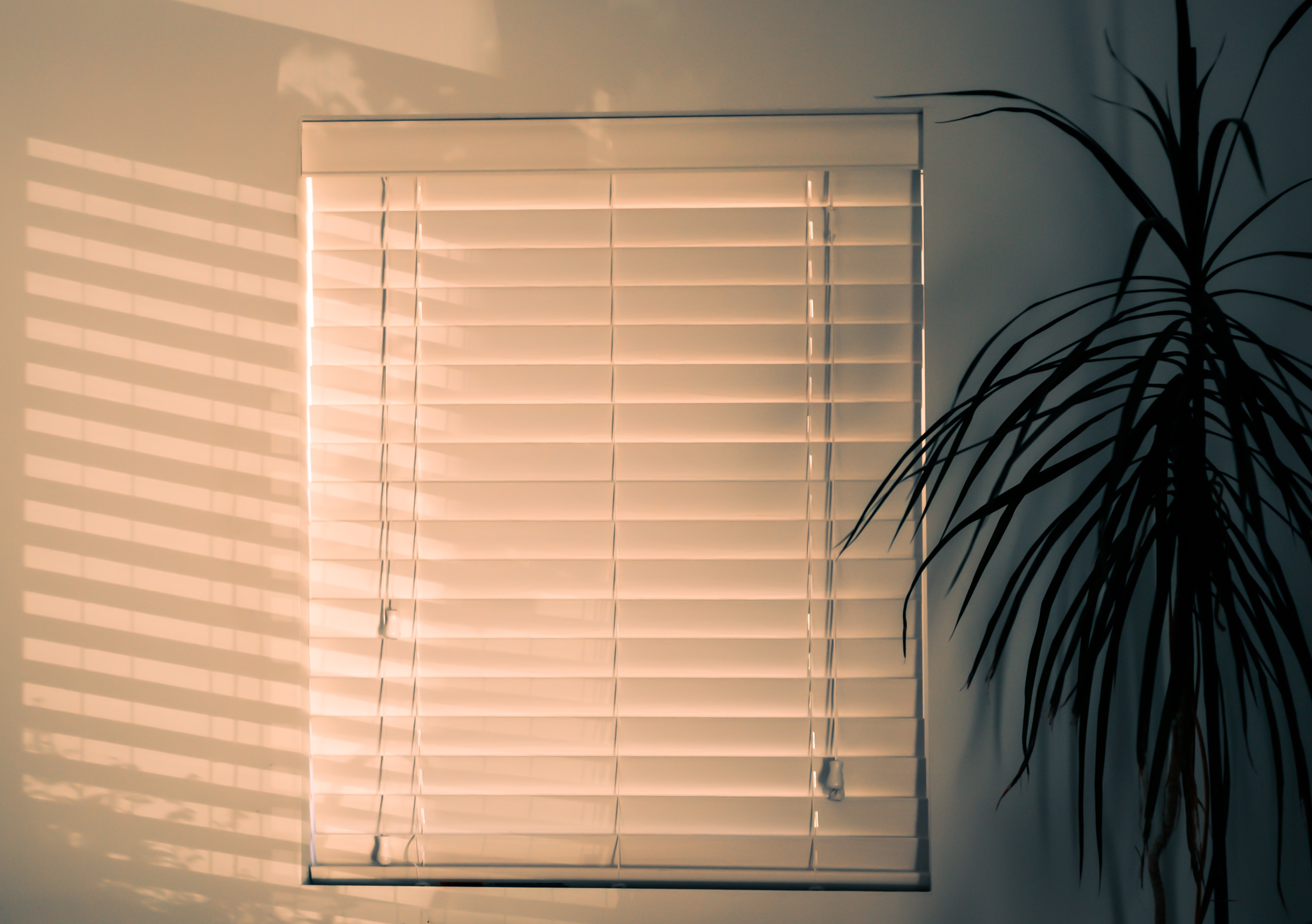 Best window shades Colorado Springs